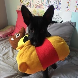 Meet your Posher, Olivia